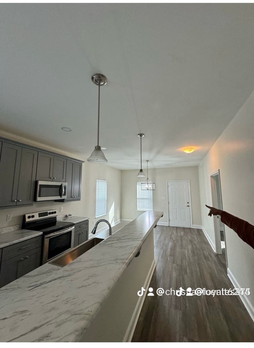 Modern kitchen with gray cabinets, stainless steel appliances, and open layout in bright apartment.